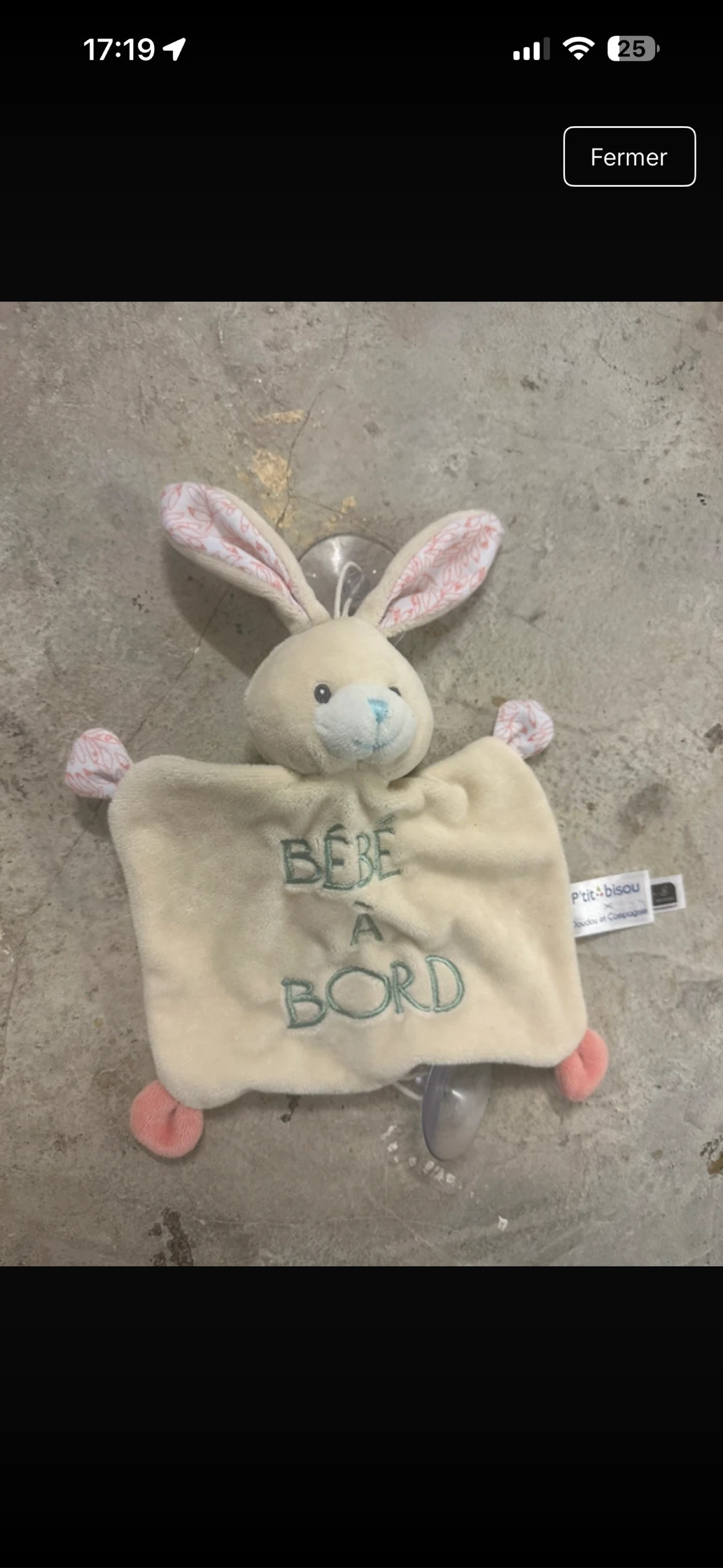 Bébé à bord 